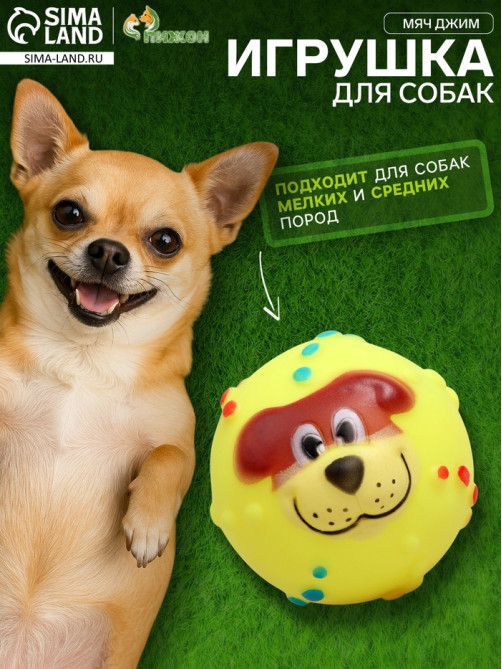 Игрушка для собак «Мяч Джим», 6 см, пищащая, винил, жёлтый