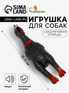 Игрушка для собак малая «Задумчивая курица», 16.5 см, пищащая, винил, чёрная
