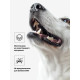 Игрушка пищащая «Ёжик» мини для собак, 5 см, оранжевая