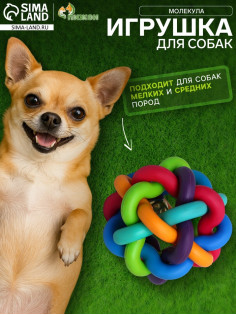 Мяч для собак «Молекула»,6 см, с бубенчиком, разноцветный