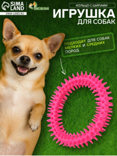 Игрушка для собак «Кольцо с шипами», 12.5 см, розовая