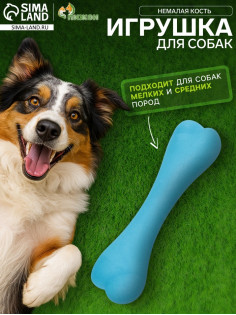 Жевательная игрушка для собак «Немалая кость», 16 см, TPR, синяя