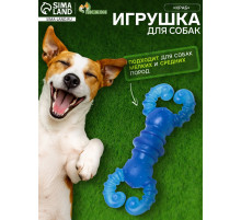 Жевательная игрушка для собак «Краб», прозрачная, 12 см, TPR, голубая