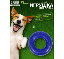 Жевательная игрушка для собак «Кольцо», 6.7×2 см, прозрачная, PP, синяя