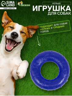 Жевательная игрушка для собак «Кольцо», 6.7×2 см, прозрачная, PP, синяя