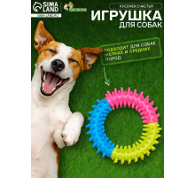 Жевательная игрушка для собак «Кусочек счастья», 9.5 см