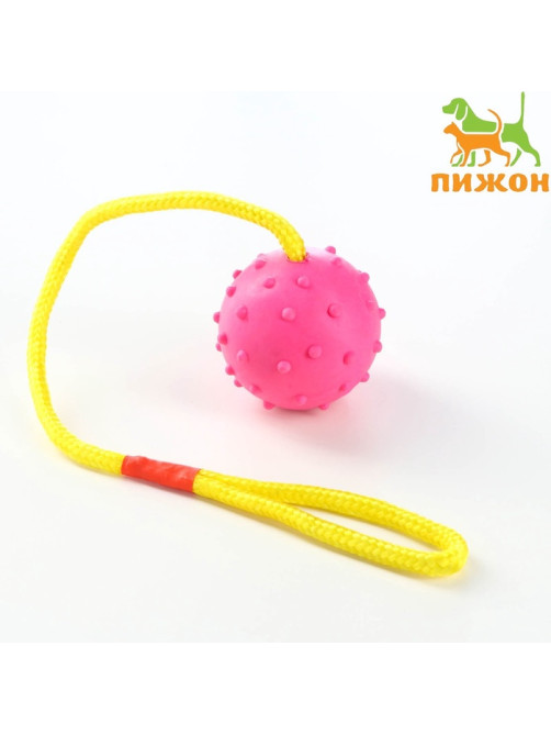 Игрушка для собак, мяч на веревке, 6 см, розовая, жёлтая