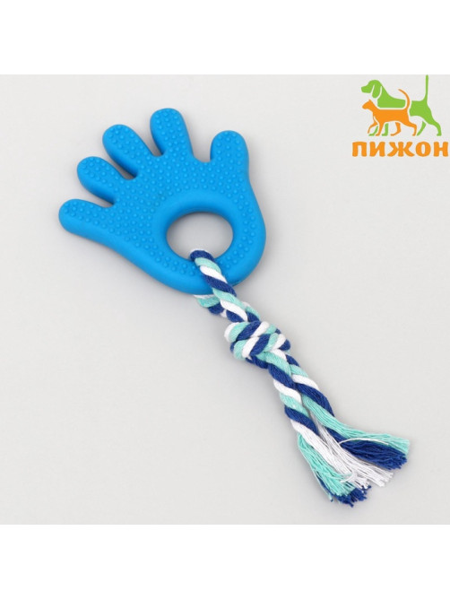 Игрушка жевательная с канатом для собак «Ладошка», 10 см, голубая