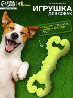 Игрушка для собак резиновая «Гантель-крабы», TPR, 11.5×2 см, жёлтая