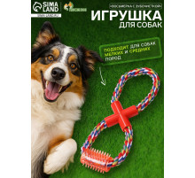 Игрушка канатная «Восьмерка с зубочисткой», тренировочная, до 27 см, до 140 г, цвет МИКС