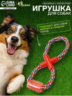 Игрушка канатная «Восьмерка с зубочисткой», тренировочная, до 27 см, до 140 г, цвет МИКС