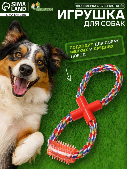 Игрушка канатная «Восьмерка с зубочисткой», тренировочная, до 27 см, до 140 г, цвет МИКС