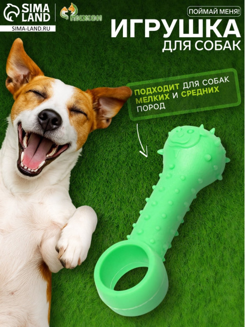 Игрушка-дразнилка для собак «Поймай меня!», 9.5 см, TPR, зелёная