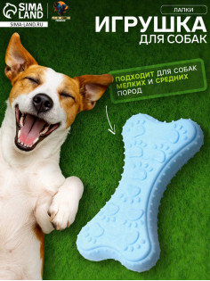 Плавающая игрушка для собак Пижон Premium «Лапки», 10.5×5.5×2 см, вспененный TPR, голубая