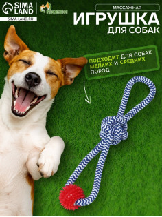Игрушка канатная «Массажная», с узлом, до 65 г, до 30 см, цвет МИКС