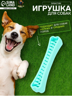 Игрушка-зубочистка для собак Пижон Premium «Зубастик», 18.3×3.8 см, цвет мятный