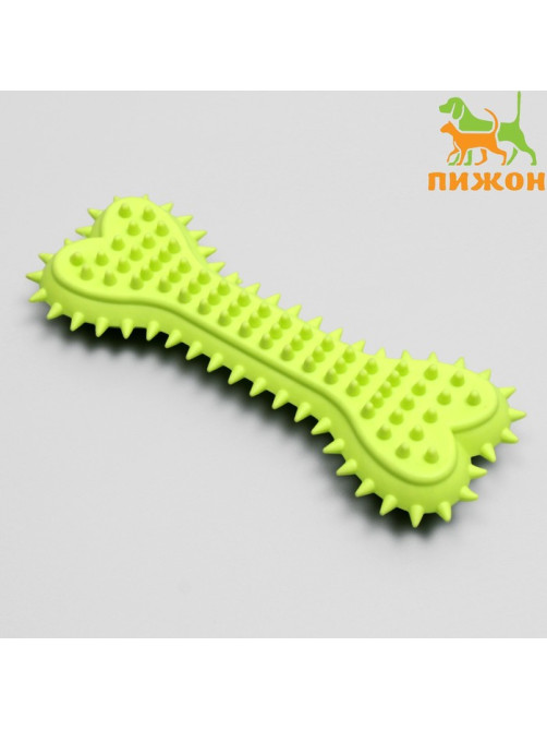 Игрушка жевательная литая «Кость с шипами», 15×6×2.5 см, салатовая