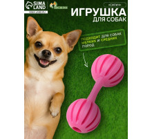 Жевательная игрушка для собак «Силач», 15 см, TPR, розовая