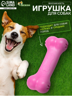 Жевательная игрушка для собак «Вкусная кость», 11 см, с отверстиями для лакомств, TPR, розовая