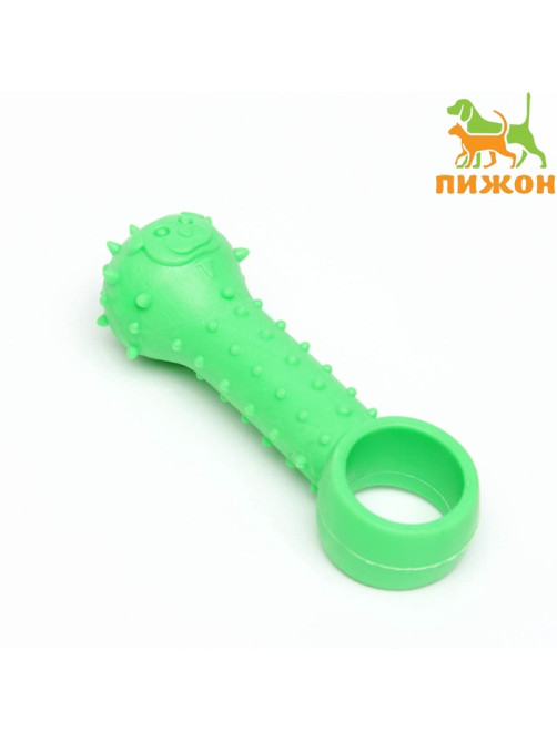 Игрушка-дразнилка для собак «Поймай меня!», 9.5 см, TPR, зелёная