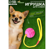 Игрушка «Шар усиленный на веревке», 43 см, шар 6 см, розовый