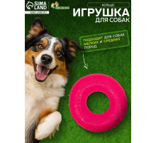 Жевательная игрушка для собак «Кольцо», 6.7×2 см, прозрачная, PP, розовая