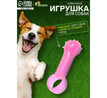 Игрушка-дразнилка для собак «Поймай меня!»,9.5 см, прозрачная, PP, розовая