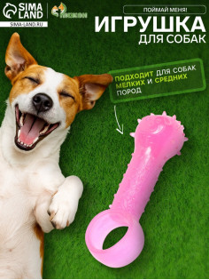 Игрушка-дразнилка для собак «Поймай меня!»,9.5 см, прозрачная, PP, розовая