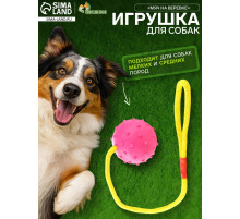 Игрушка для собак, мяч на веревке, 6 см, розовая, жёлтая