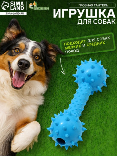 Жевательная игрушка для собак «Грозная гантель», 15×5 см, синяя