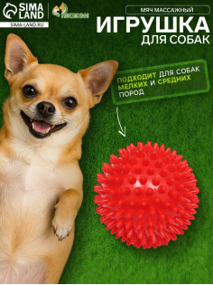 Игрушка «Мяч массажный», пластикат, микс цветов, 7.5 см
