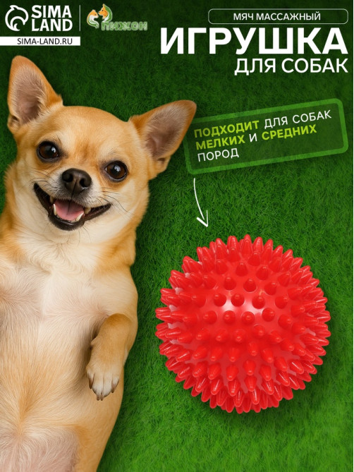 Игрушка «Мяч массажный», пластикат, микс цветов, 7.5 см