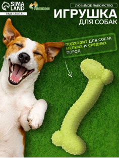 Жевательная игрушка для собак «Любимое лакомство», 11×4 см, TPR, салатовая