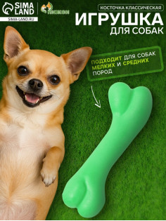 Жевательная игрушка для собак «Косточка классическая», 12.3 см, TPR, зелёная