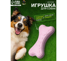 Плавающая игрушка для собак Пижон Premium «Косточки», 10.5×5.5×2 см, вспененный TPR, розовая