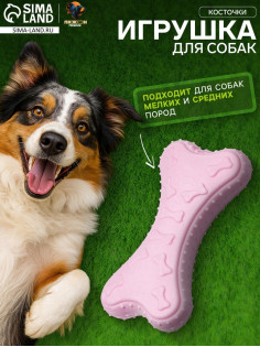 Плавающая игрушка для собак Пижон Premium «Косточки», 10.5×5.5×2 см, вспененный TPR, розовая