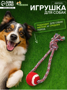 Игрушка канатная «Вираж», с мячом, до 135 г, до 37 см, цвет МИКС