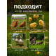 Поилка для домашней птицы, 1 л, пластик, Greengo