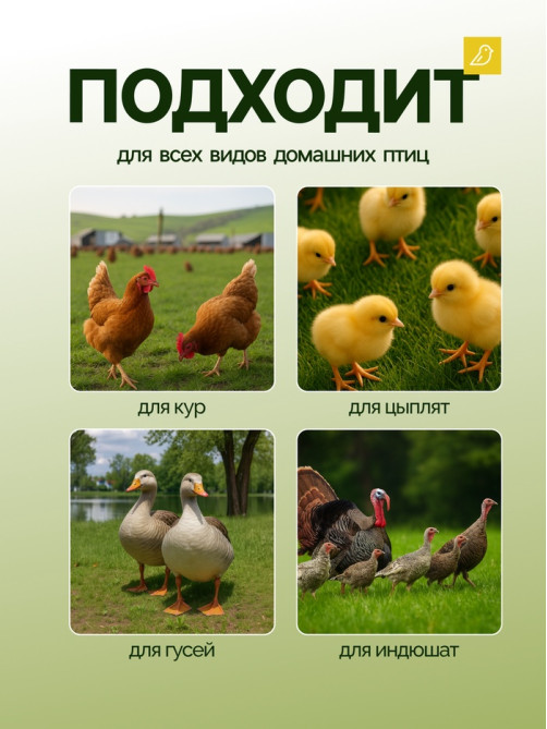 Кормушка бункерная для домашней птицы на 10 кг, пластик, Greengo