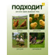 Кормушка бункерная для домашней птицы на 10 кг, пластик, Greengo