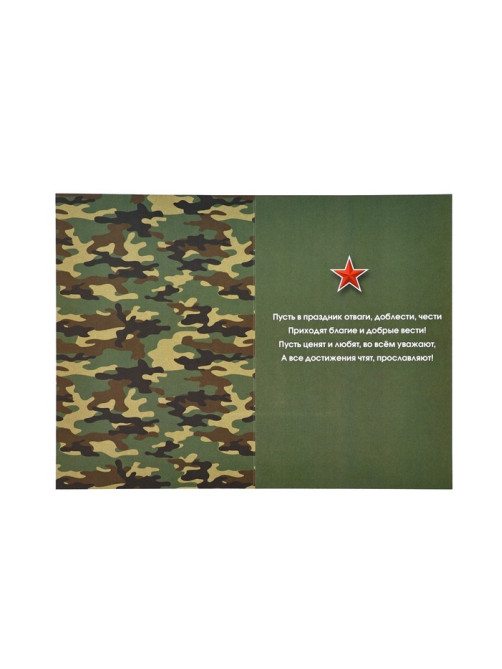 Открытка «С 23 Февраля!», 12×18 см