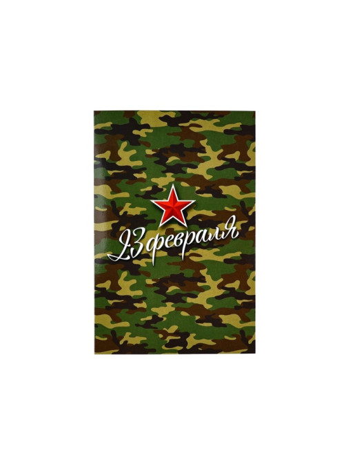 Открытка «С 23 Февраля!», 12×18 см