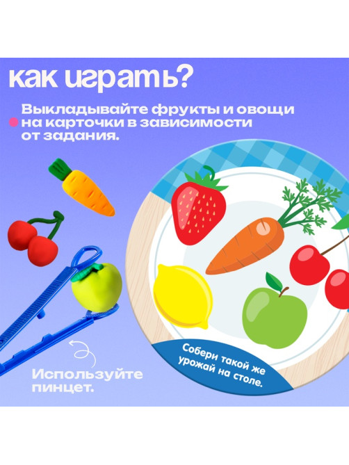 Набор для сортировки «Вкусная тарелка», по методике Монтессори, 20 заданий, 3+