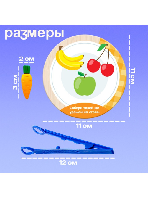 Набор для сортировки «Вкусная тарелка», по методике Монтессори, 20 заданий, 3+