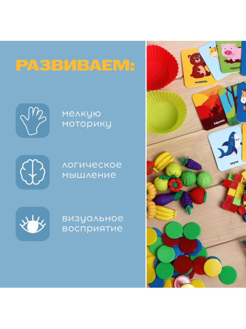 Большой набор «Для сортировки», 6 в 1, 3+
