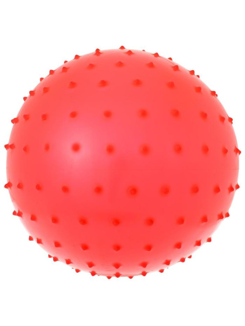 Мяч массажный, d=25 см, 80 г, МИКС