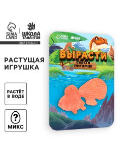 Растущее животное «Золотая рыбка», МИКС