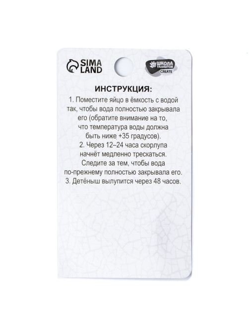 Растущие игрушки «Мир динозавров», МИКС