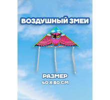 Воздушный змей «Сова», с леской