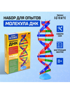Набор для опытов «Молекула ДНК»